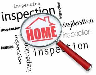 The Home Inspection